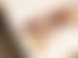 Julius Tart Optical【淺玳瑁色|實屬罕有|敬請留意】'AR'