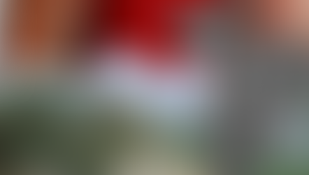 Seeing Red: How Cochineal Insects Die for Dye