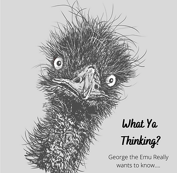 What Ya Thinking.png