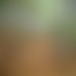 Ακολουθούμε τα όνειρά μας! Μία ματιά στην Καλοκαιρινή Κατασκήνωση της Ομάδας