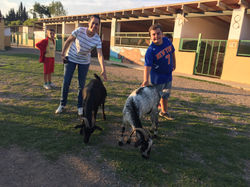 20150621_183424173_iOS