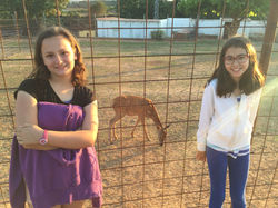 20150621_184706694_iOS