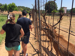 20150621_130044021_iOS