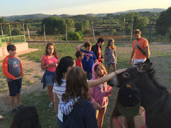 20150621_184048414_iOS