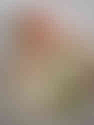 Let's Eat - Mangiamo