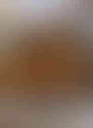 6th Step - 6° Passo