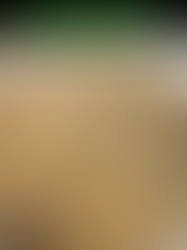 Sausage Risotto – Risotto al Salsiccia