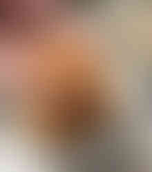 Ingredients - Ingredienti