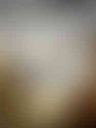 5th Step - 5° Passo