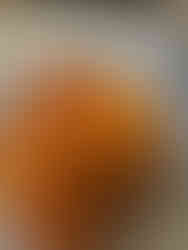 Delicious - Delizioso