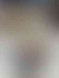 14th Step - 14° Passo