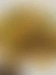 Delicious - Delizioso