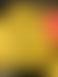 Vegetable Purée – Purea di Verdure