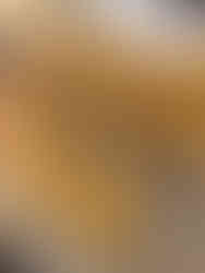 8th Step - 8° Passo