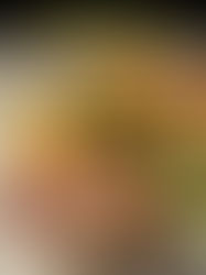 Baked Beef Filets – Filetto di Manzo al Forno