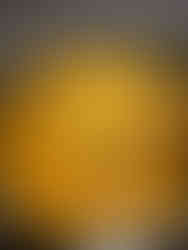 6th Step - 6° Passo