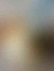 1st Step - 1° Passo