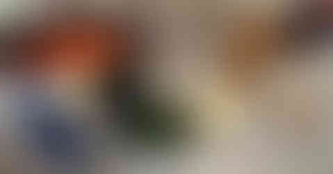 Ingredients - Ingredienti