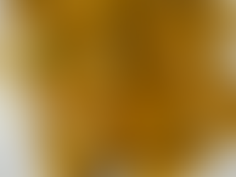 Apricot Chicken Meal – Pasto di Pollo all'Albicocca