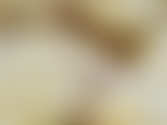 Citrus Ricotta Cookies – Biscotti Agrumi e Ricotta