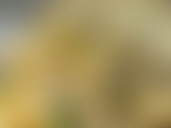 Spicy Turkey Pasta – Pasta di Tacchino Piccante