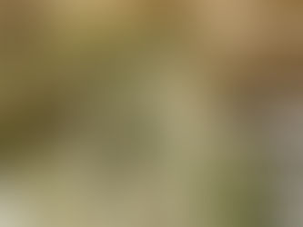 Italian Chicken Rolls – Rotoli di Pollo all’Italiana