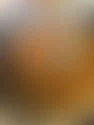 16th Step - 16° Passo