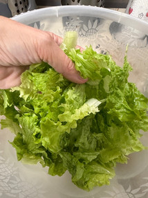 Delicious - Delizioso