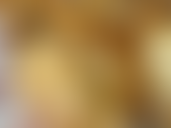 Stuffed Roasted Chicken Meal – Pollo Arrosto Ripieno