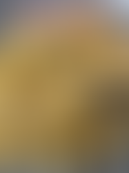 Meaty Tortellini – Tortellini Carnosi