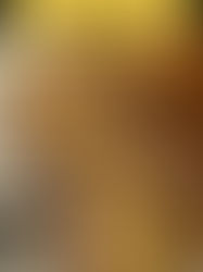 Brioche Vanilla Toast – Toast di Brioche e Vaniglia