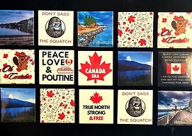 set of 15 custom mangets