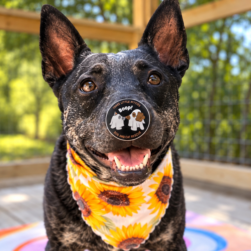 Boop Dog and Cat Rescue Sticker