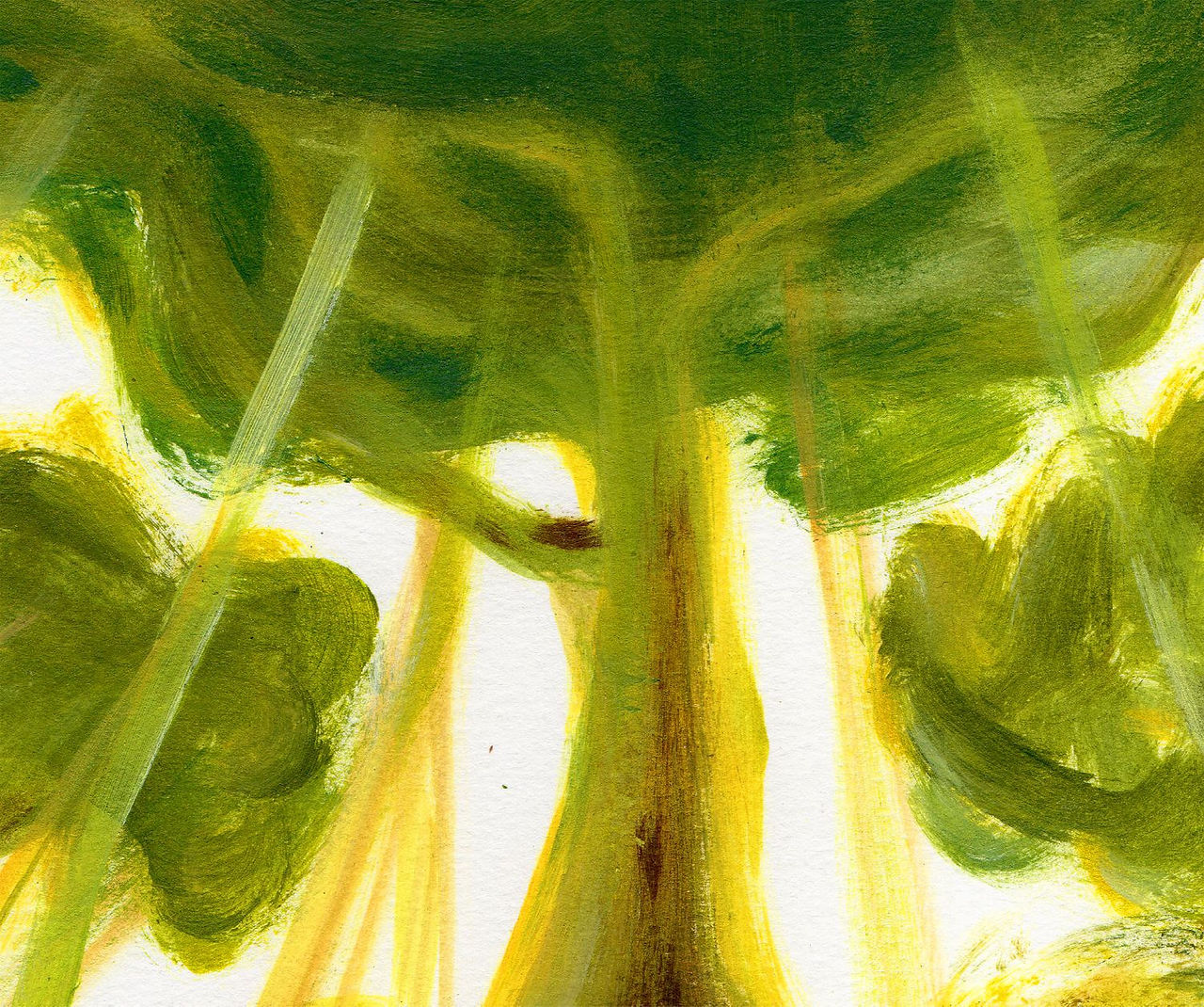 illustration acrylic tree