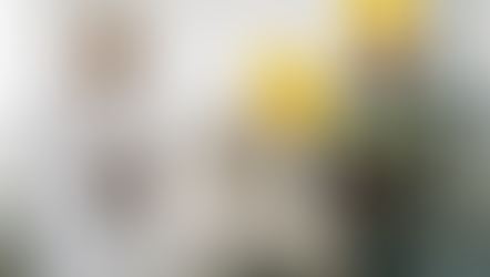 ¿Auditoría interna o simple inspección? El error que podría comprometer tu acreditación ISO/IEC 17025