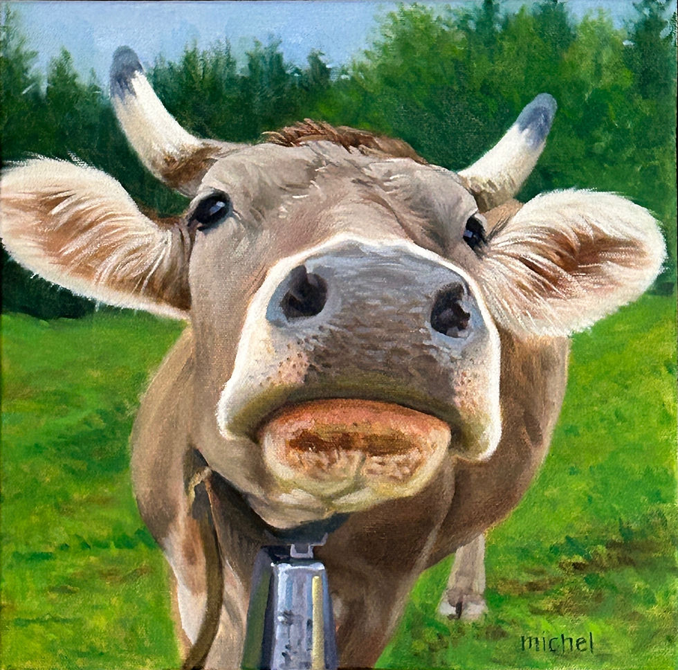 Swiss Cow