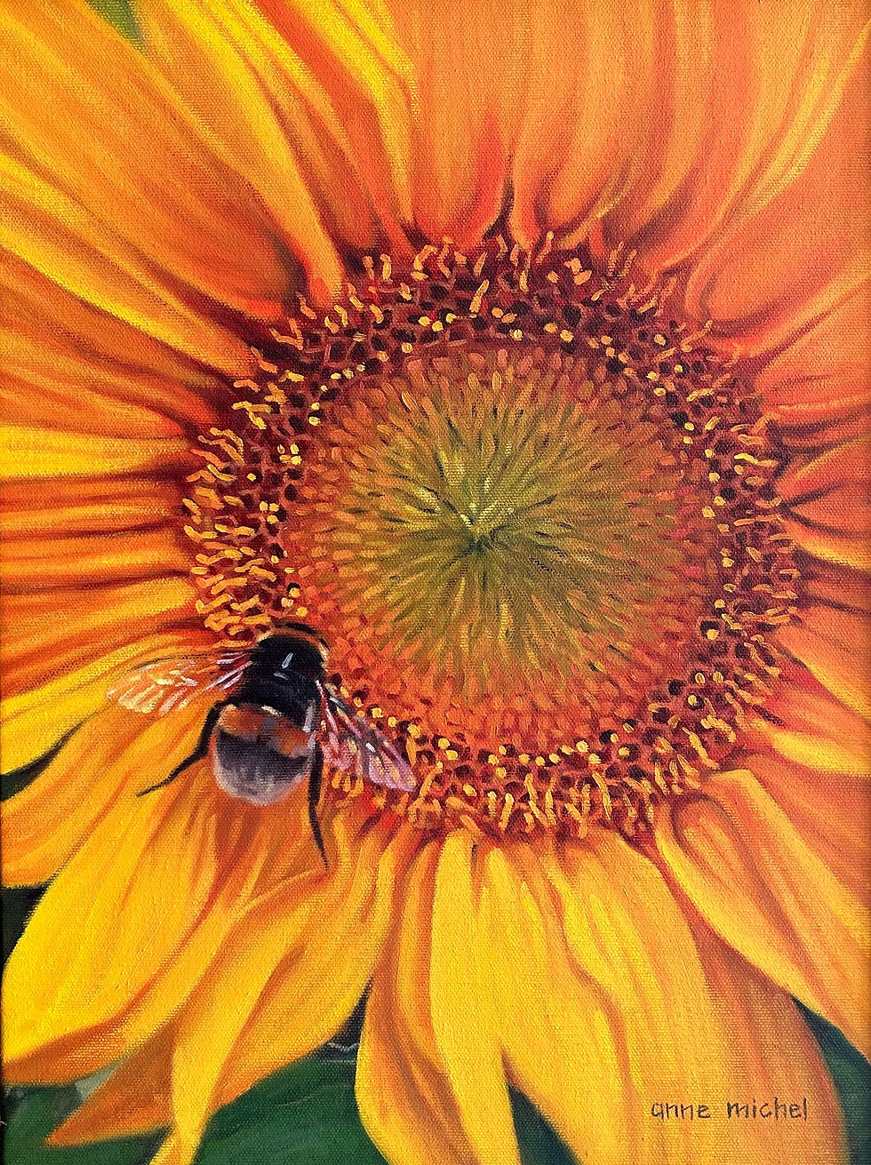 Sunflower with Bee