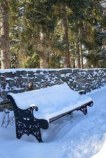 bench-229451_1920.jpg