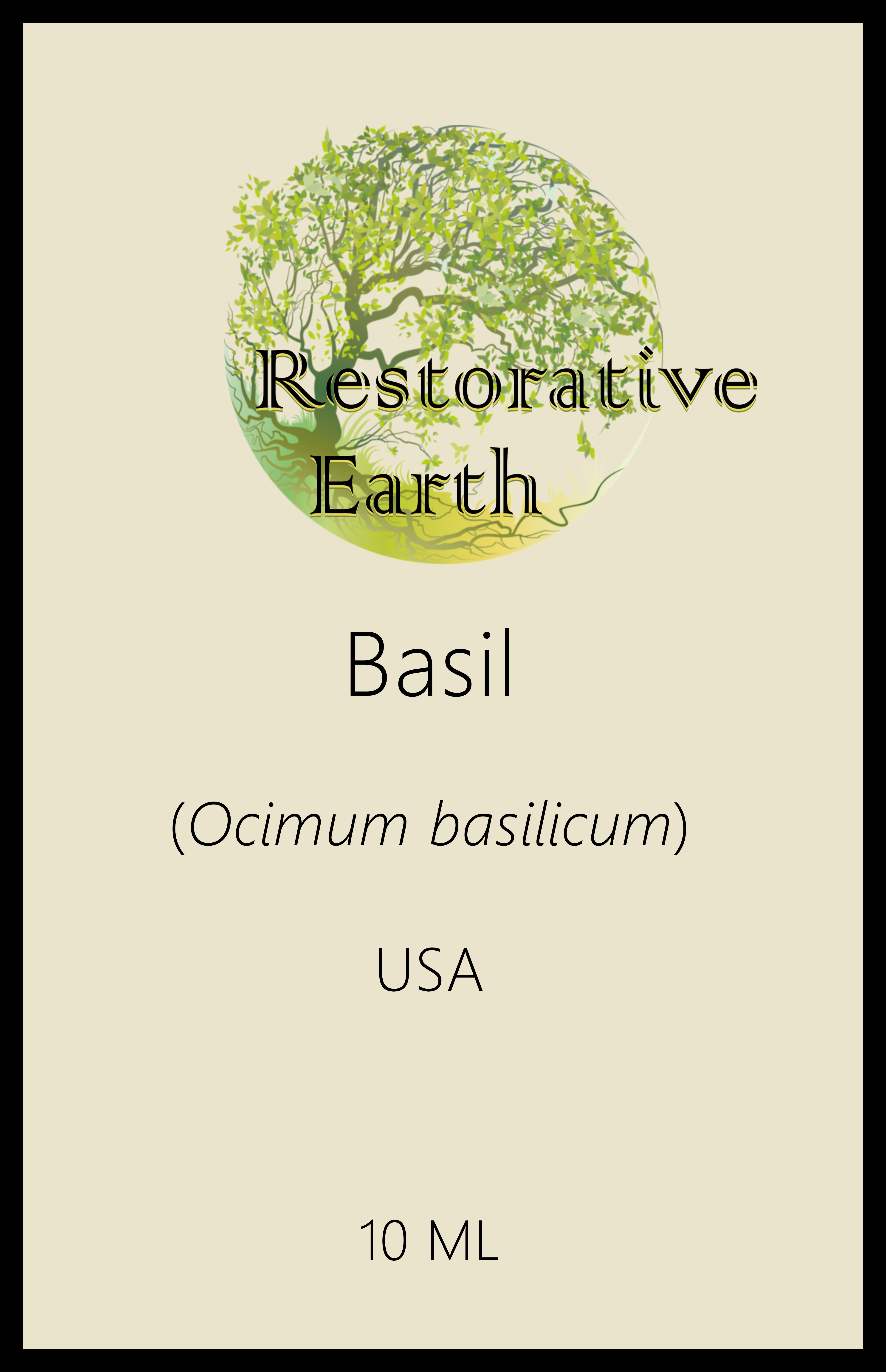 Basil (Ocimum basilicum)