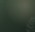 ADS Who We Help BG.png