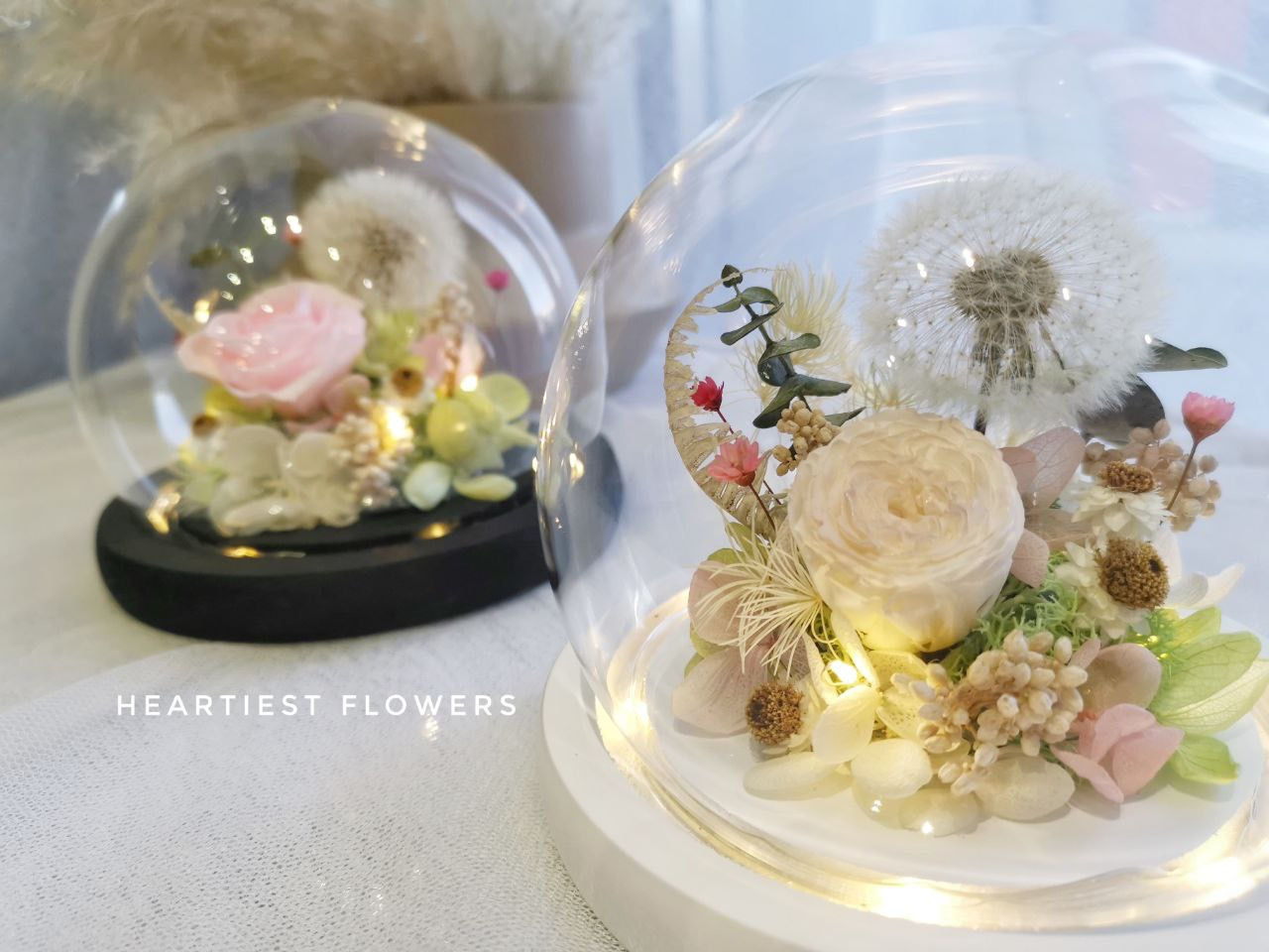 Preserved Natural Dandelion Series - Round Jar