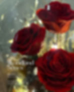 Thumbnail: Woodland Series - Premium Preserved Flower Jar