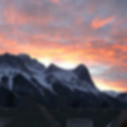 IMG_1482.jpeg