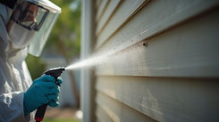 Mosquito pest control image 4.JPEG