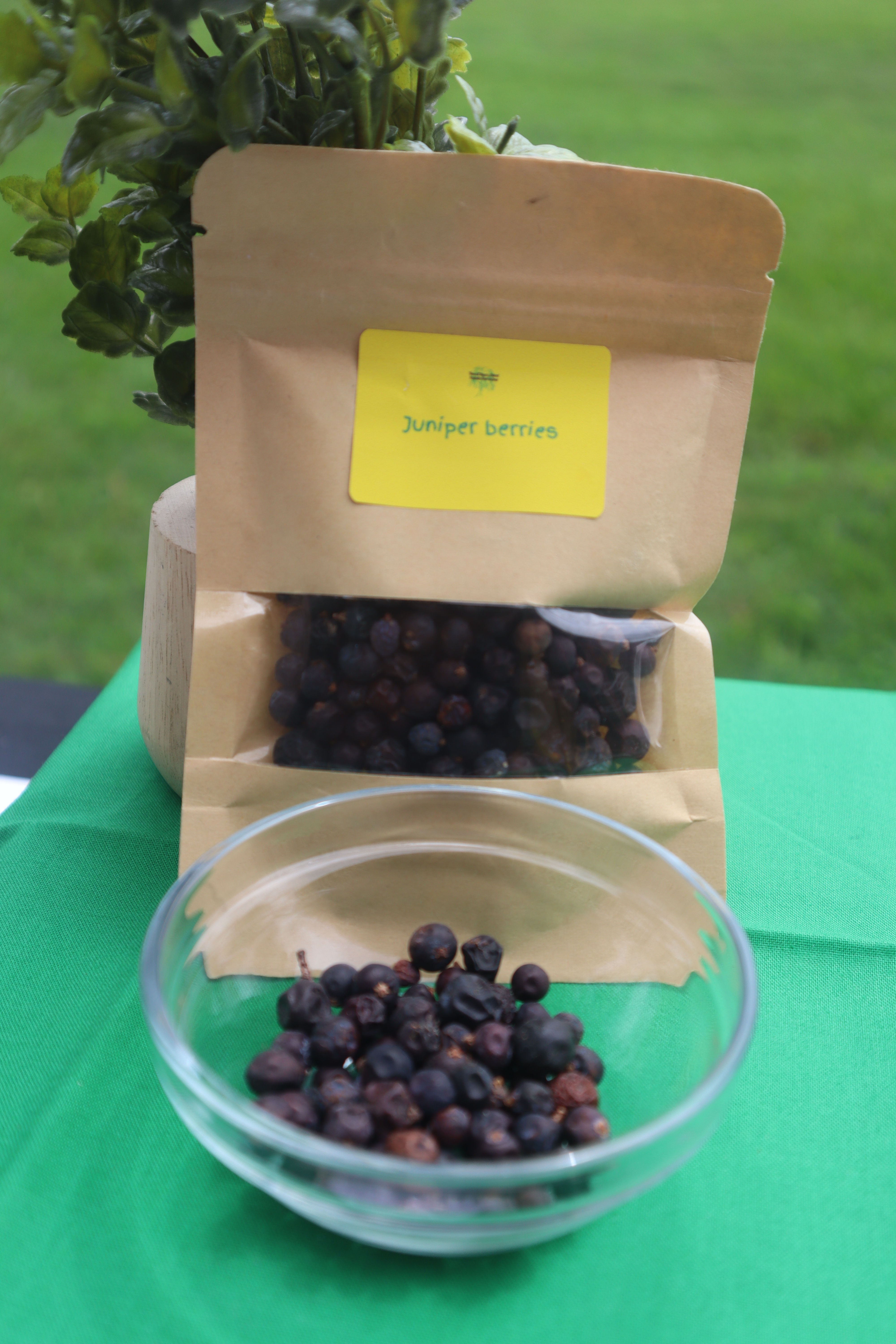 Juniper berries