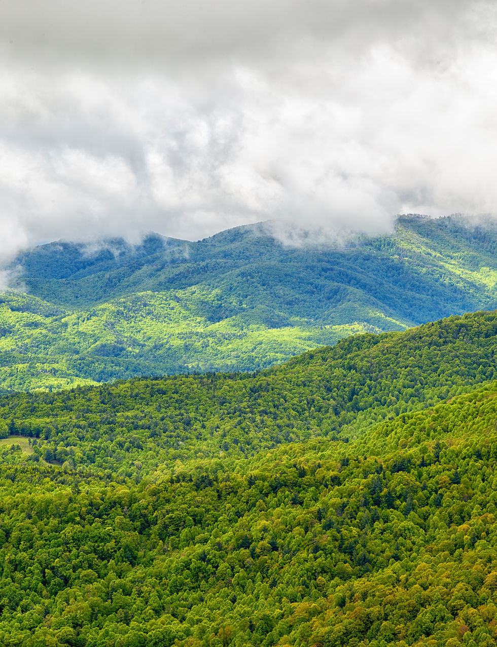Smoky Mountain Layers