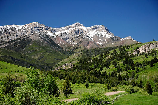 IMG_0585.JPG