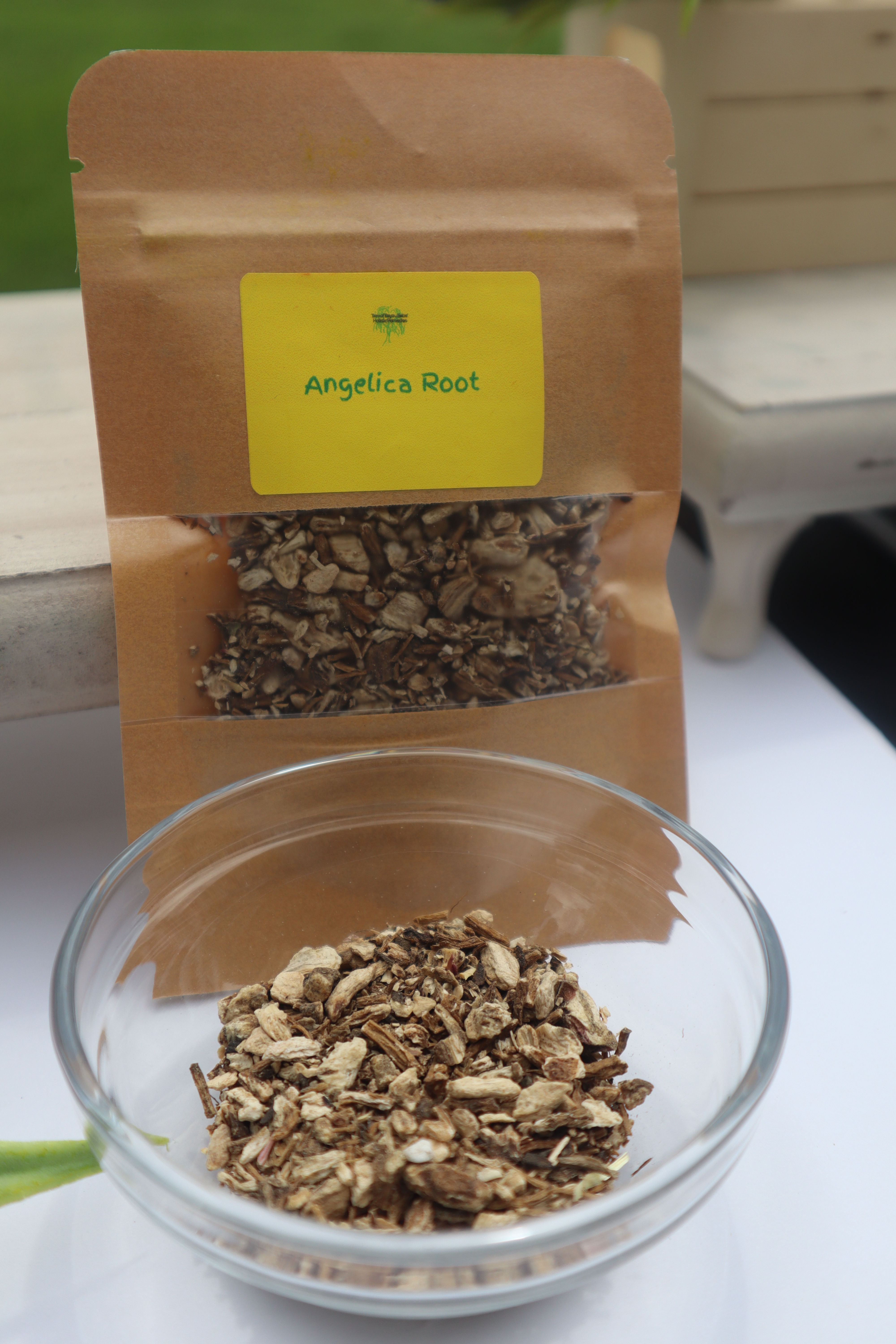 Angelica