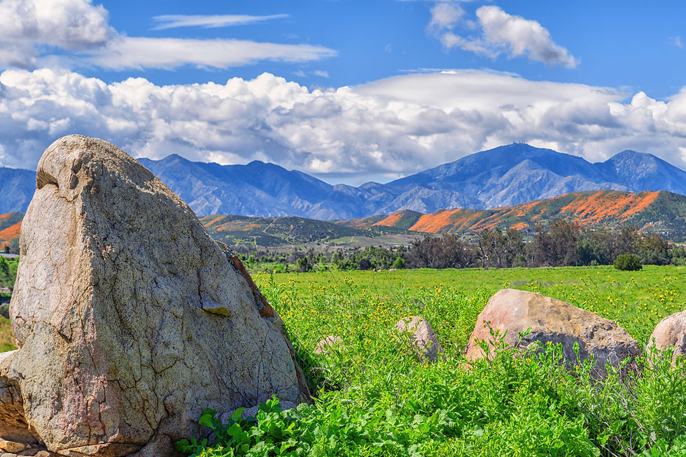 Poppies & Peaks