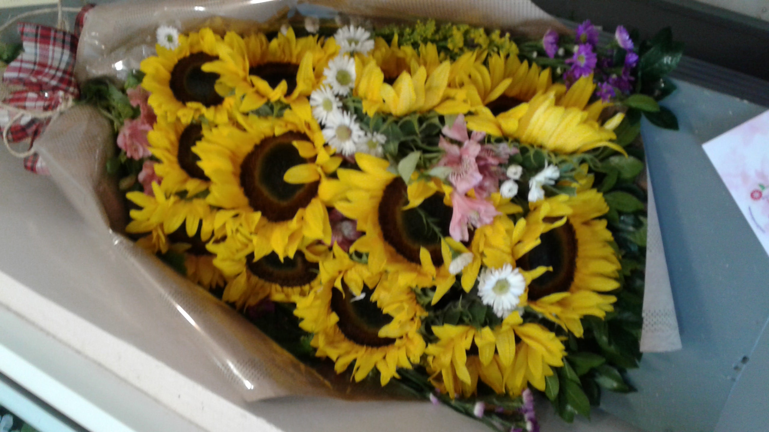 IMG-20190109-WA0013.jpeg